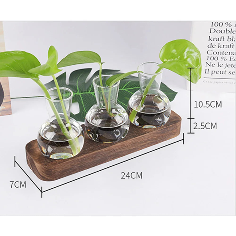 Glass Test Tube Hydroponic Plants Container Terrarium Vase with Wooden Stand