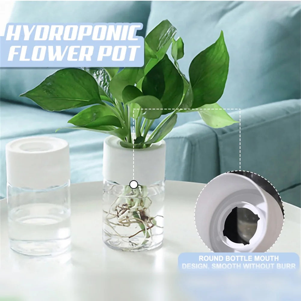 Transparent Mini Hydroponic Flower Pot for Home Decoration