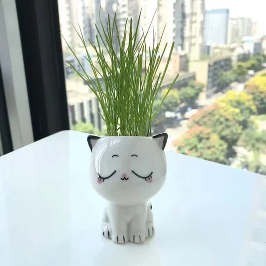 Mini Ceramic Cat Flowerpot