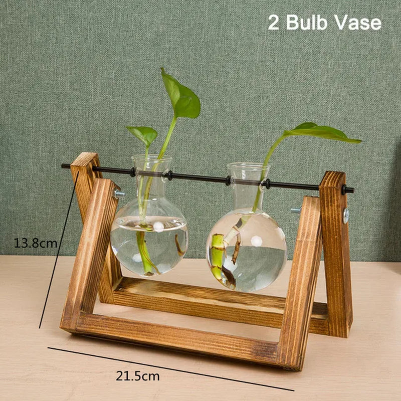 Glass Test Tube Hydroponic Plants Container Terrarium Vase with Wooden Stand