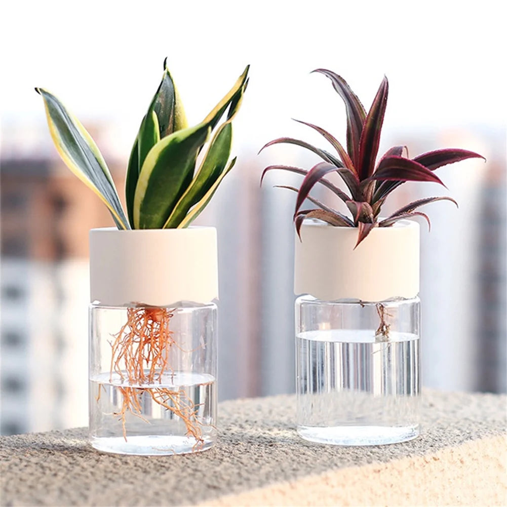 Transparent Mini Hydroponic Flower Pot for Home Decoration