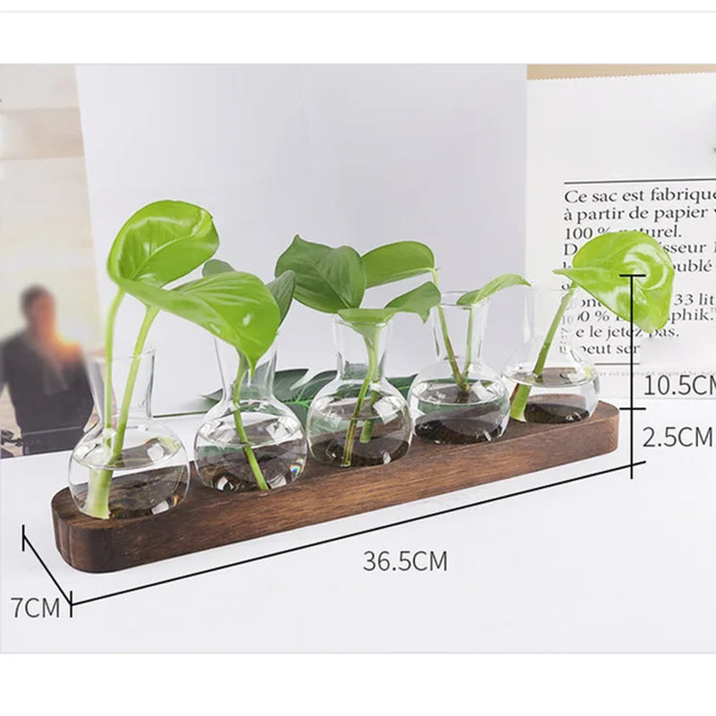 Glass Test Tube Hydroponic Plants Container Terrarium Vase with Wooden Stand