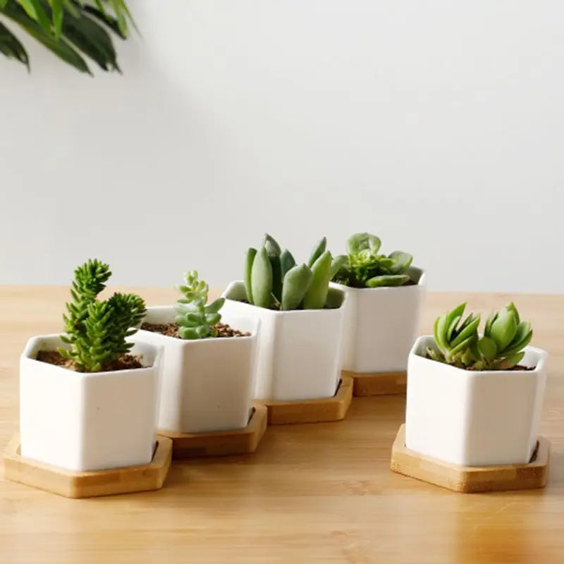 Hexagon Ceramic Succulent Planter with Drainage Hole and Bamboo Tray