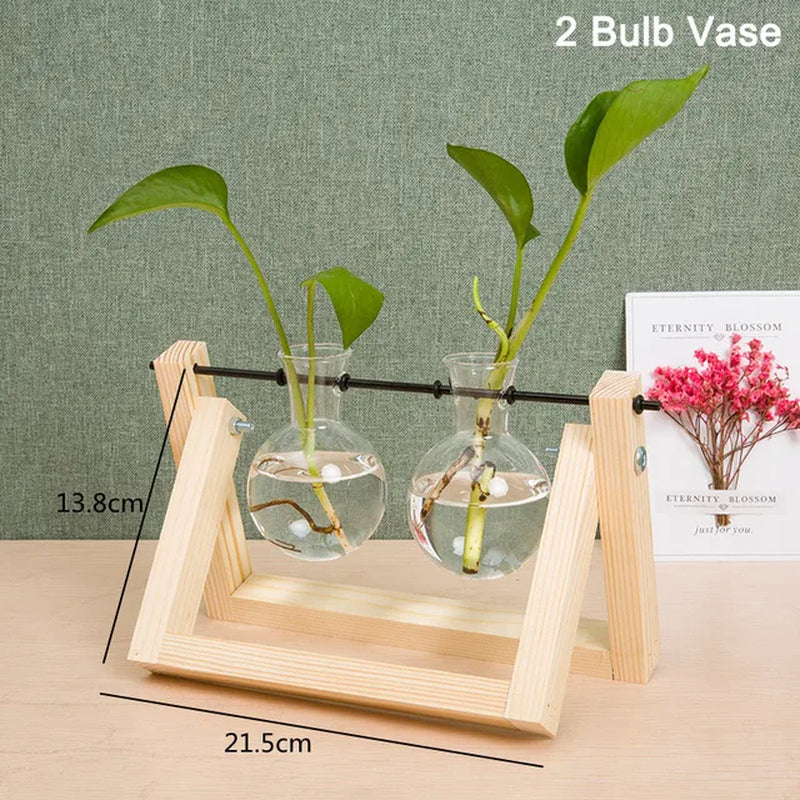 Glass Test Tube Hydroponic Plants Container Terrarium Vase with Wooden Stand