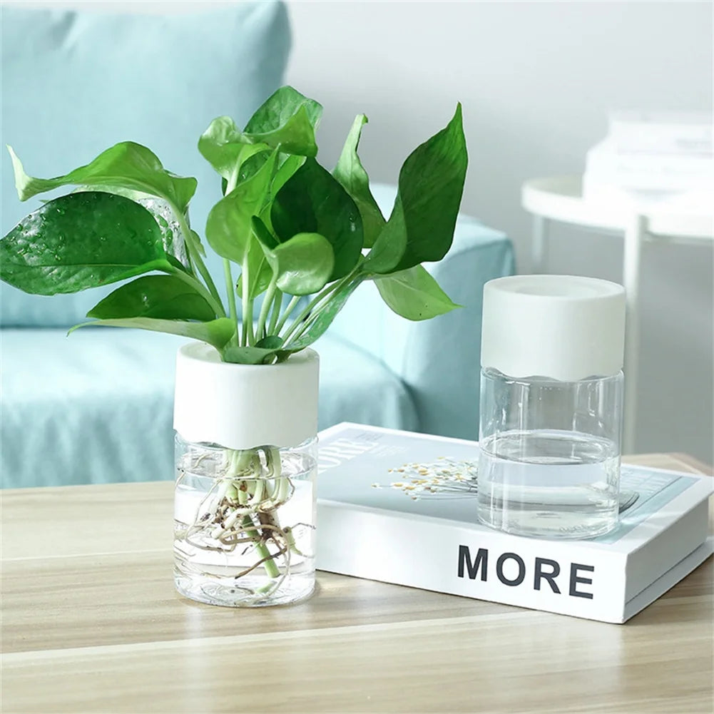 Transparent Mini Hydroponic Flower Pot for Home Decoration