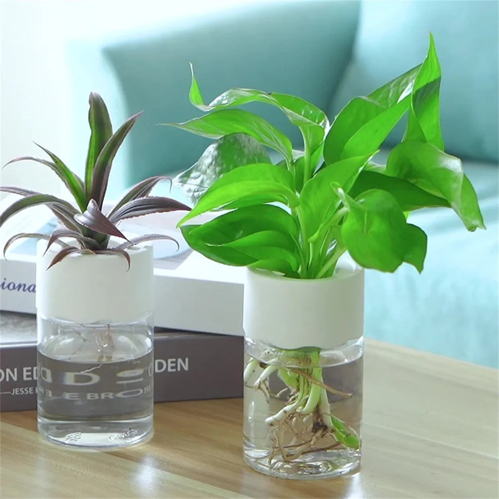 Transparent Mini Hydroponic Flower Pot for Home Decoration